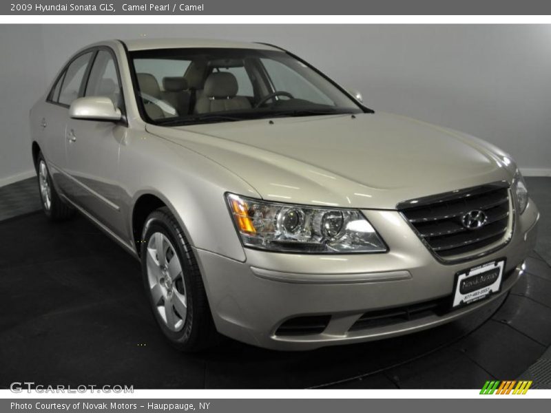 Camel Pearl / Camel 2009 Hyundai Sonata GLS