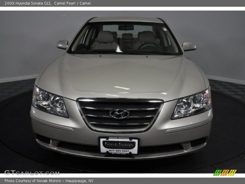 Camel Pearl / Camel 2009 Hyundai Sonata GLS