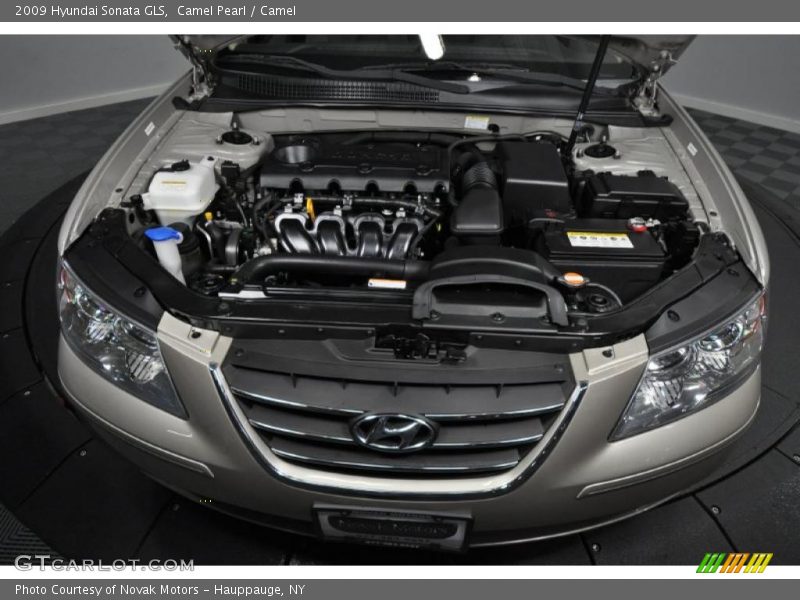 Camel Pearl / Camel 2009 Hyundai Sonata GLS
