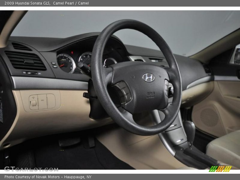 Camel Pearl / Camel 2009 Hyundai Sonata GLS