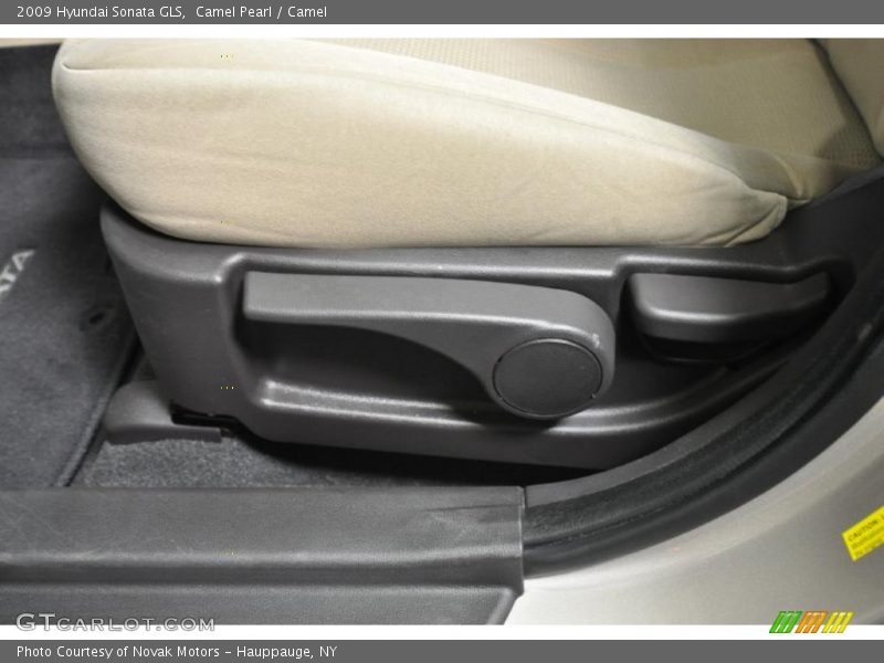 Camel Pearl / Camel 2009 Hyundai Sonata GLS