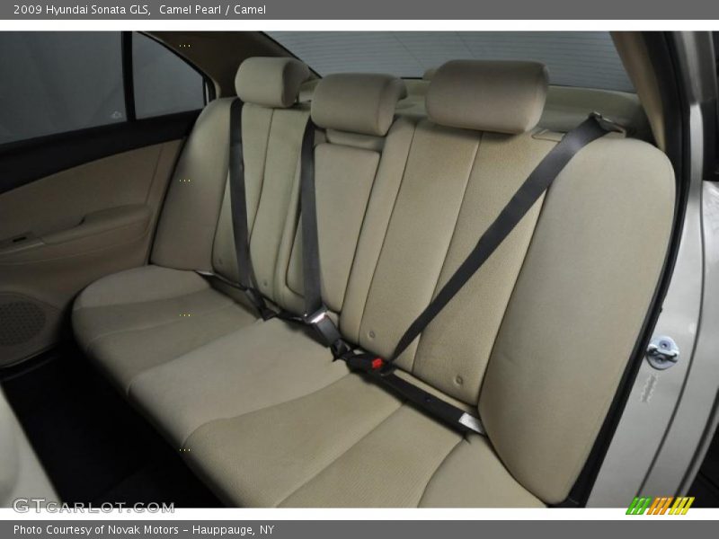Camel Pearl / Camel 2009 Hyundai Sonata GLS