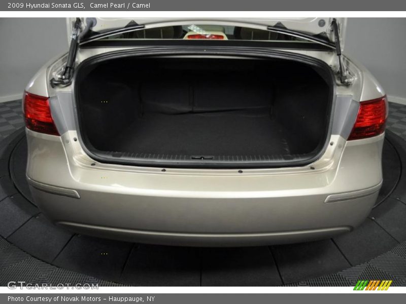 Camel Pearl / Camel 2009 Hyundai Sonata GLS