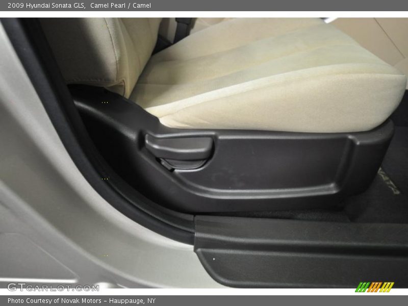 Camel Pearl / Camel 2009 Hyundai Sonata GLS