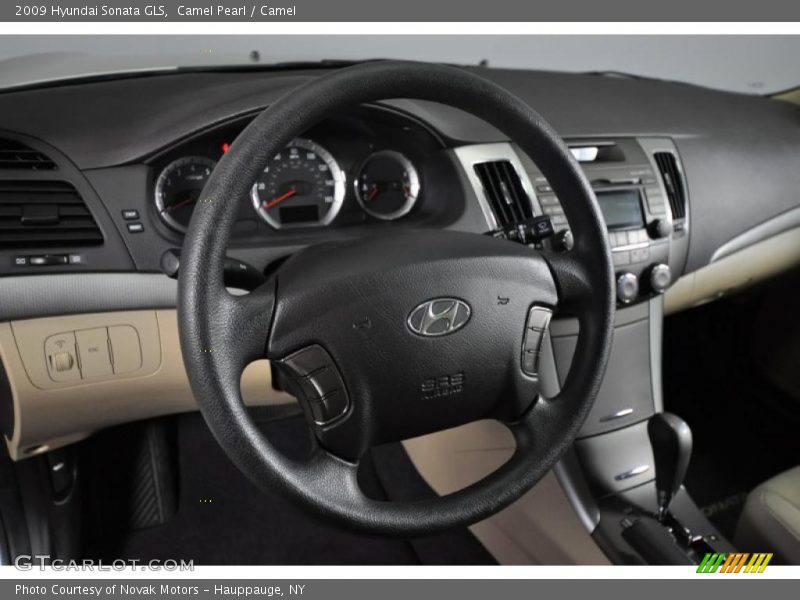 Camel Pearl / Camel 2009 Hyundai Sonata GLS