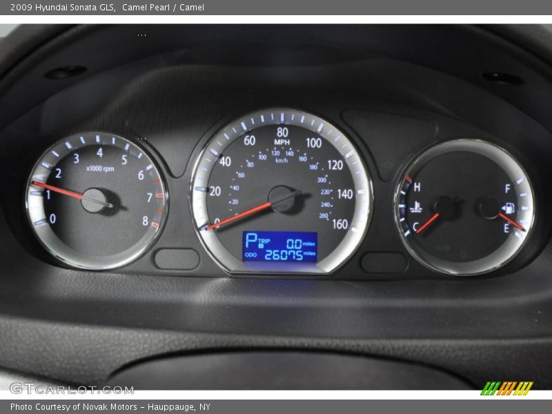 Camel Pearl / Camel 2009 Hyundai Sonata GLS