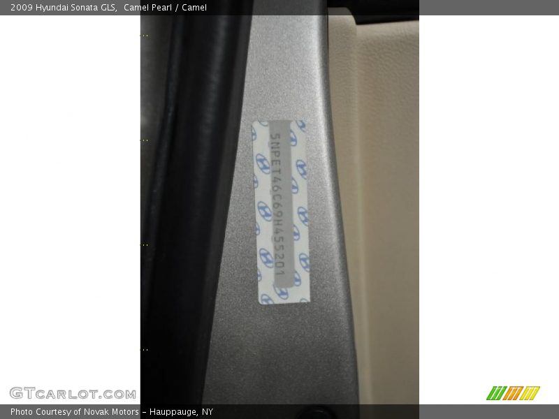 Camel Pearl / Camel 2009 Hyundai Sonata GLS