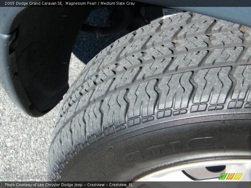 Magnesium Pearl / Medium Slate Gray 2005 Dodge Grand Caravan SE