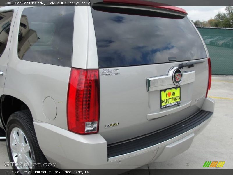 Gold Mist / Ebony/Ebony 2009 Cadillac Escalade