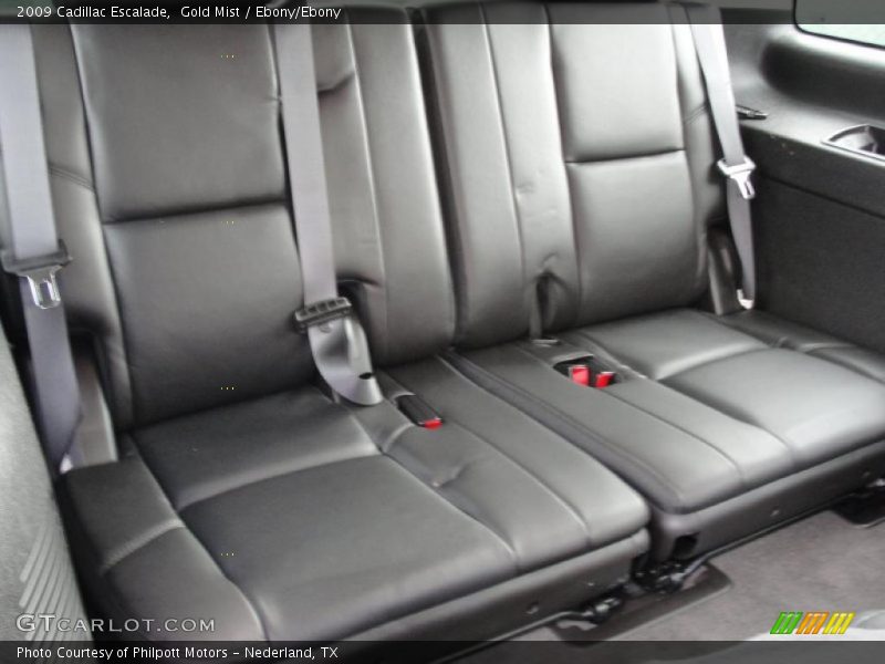 Gold Mist / Ebony/Ebony 2009 Cadillac Escalade