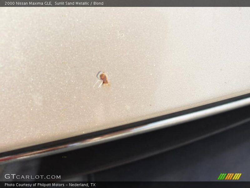 Sunlit Sand Metallic / Blond 2000 Nissan Maxima GLE