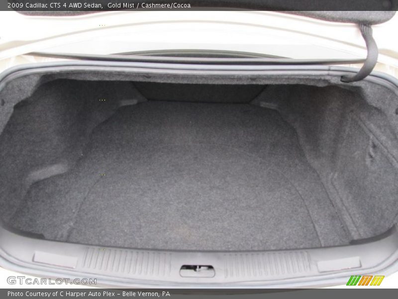 Gold Mist / Cashmere/Cocoa 2009 Cadillac CTS 4 AWD Sedan