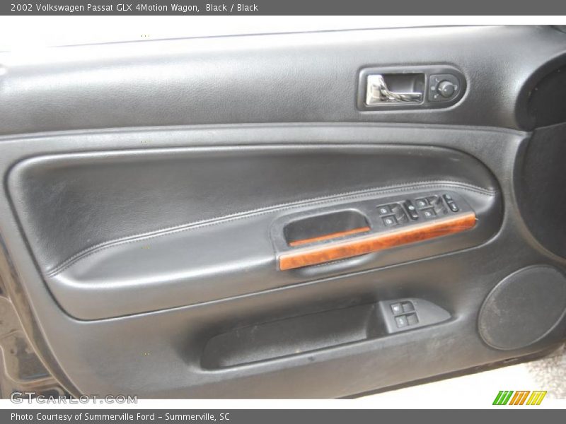 Door Panel of 2002 Passat GLX 4Motion Wagon
