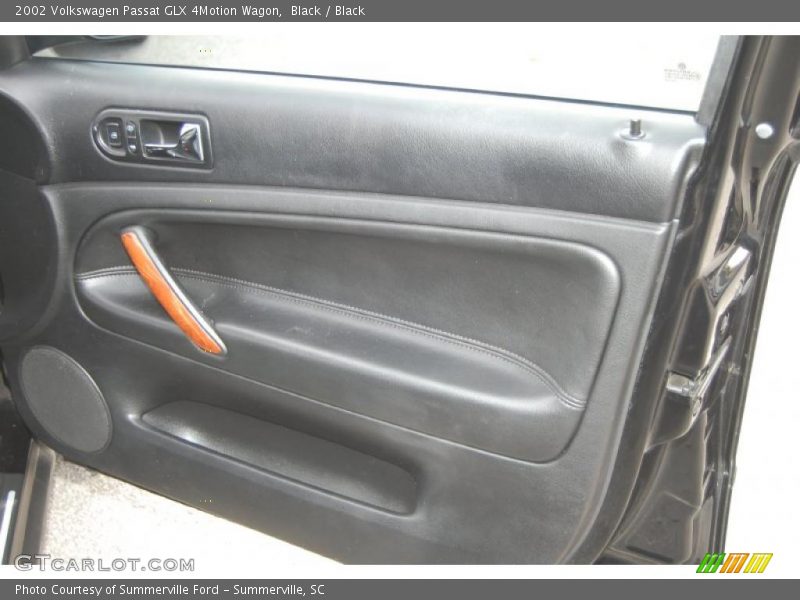 Door Panel of 2002 Passat GLX 4Motion Wagon