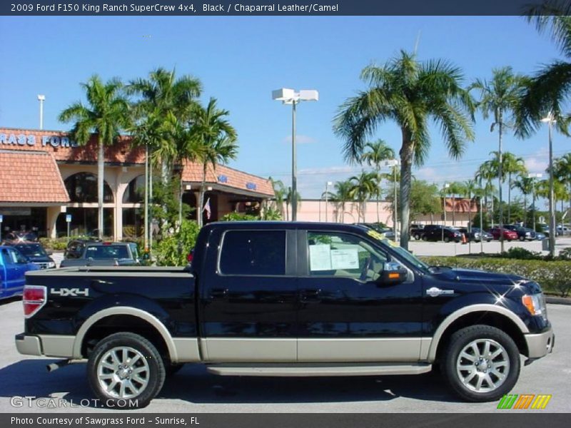 Black / Chaparral Leather/Camel 2009 Ford F150 King Ranch SuperCrew 4x4