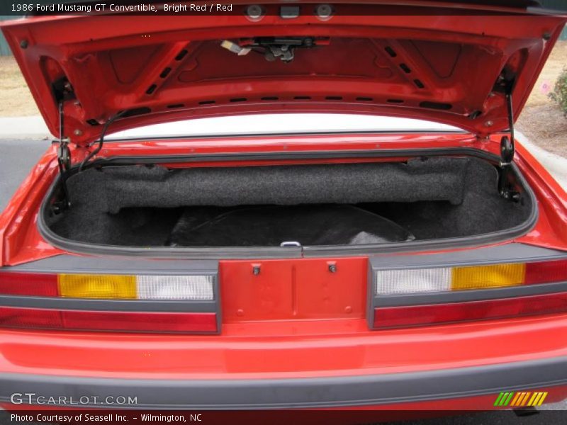  1986 Mustang GT Convertible Trunk