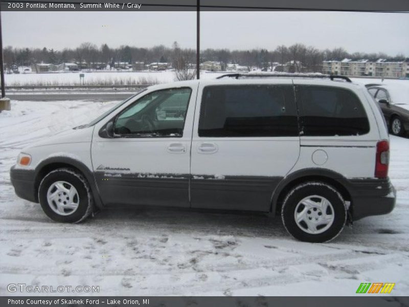 Summit White / Gray 2003 Pontiac Montana