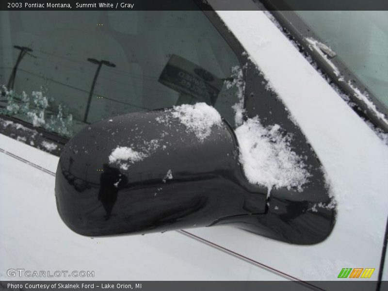 Summit White / Gray 2003 Pontiac Montana