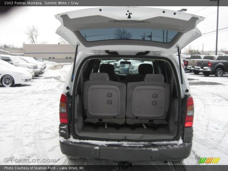 Summit White / Gray 2003 Pontiac Montana