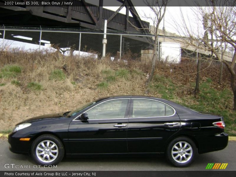 Black Onyx / Ivory 2002 Lexus ES 300