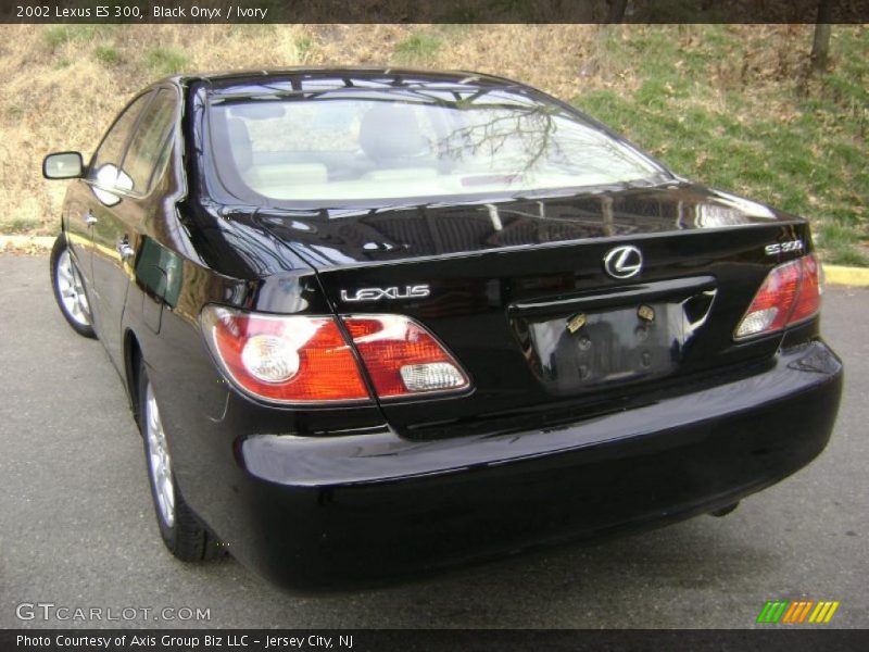 Black Onyx / Ivory 2002 Lexus ES 300