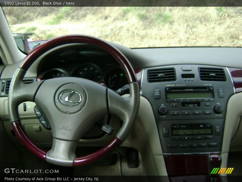 Black Onyx / Ivory 2002 Lexus ES 300