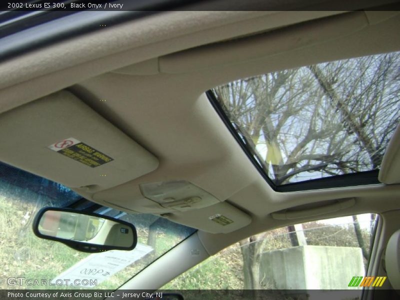 Black Onyx / Ivory 2002 Lexus ES 300