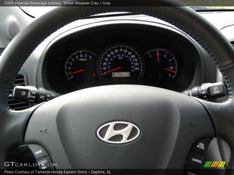 Green Meadow Gray / Gray 2007 Hyundai Entourage Limited