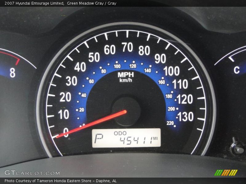 Green Meadow Gray / Gray 2007 Hyundai Entourage Limited