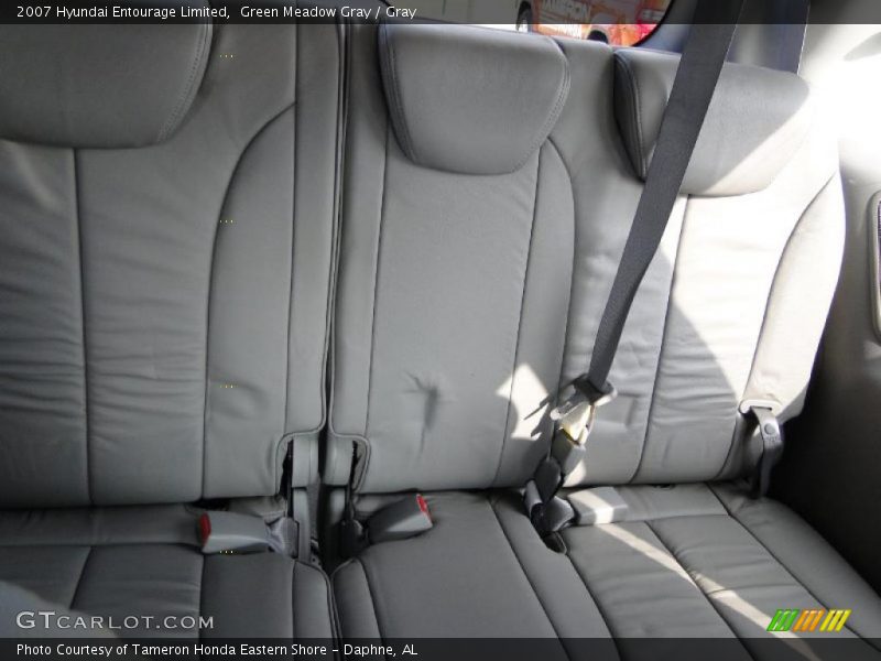Green Meadow Gray / Gray 2007 Hyundai Entourage Limited