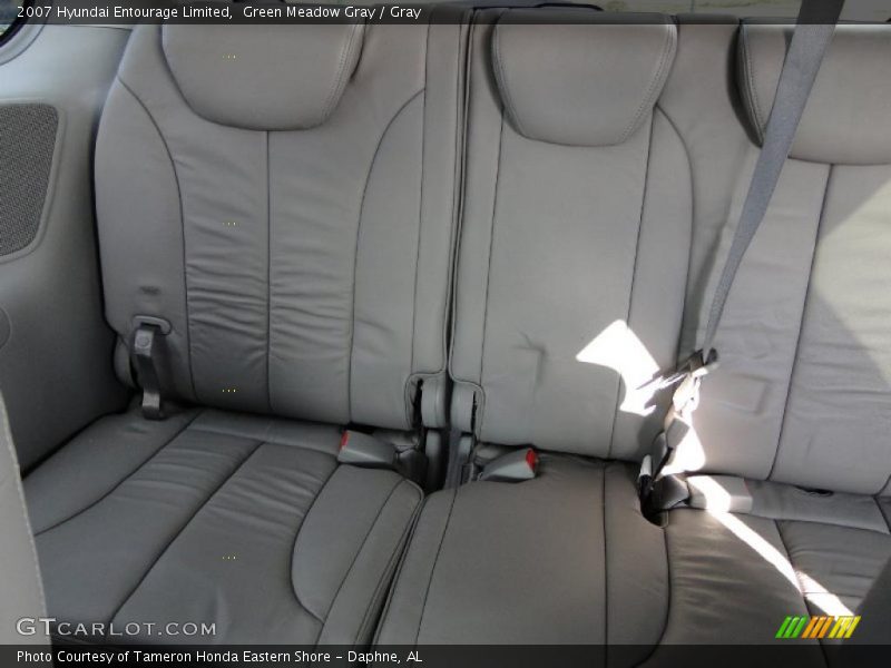 Green Meadow Gray / Gray 2007 Hyundai Entourage Limited