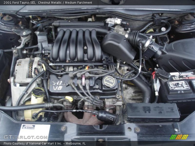 Chestnut Metallic / Medium Parchment 2001 Ford Taurus SES