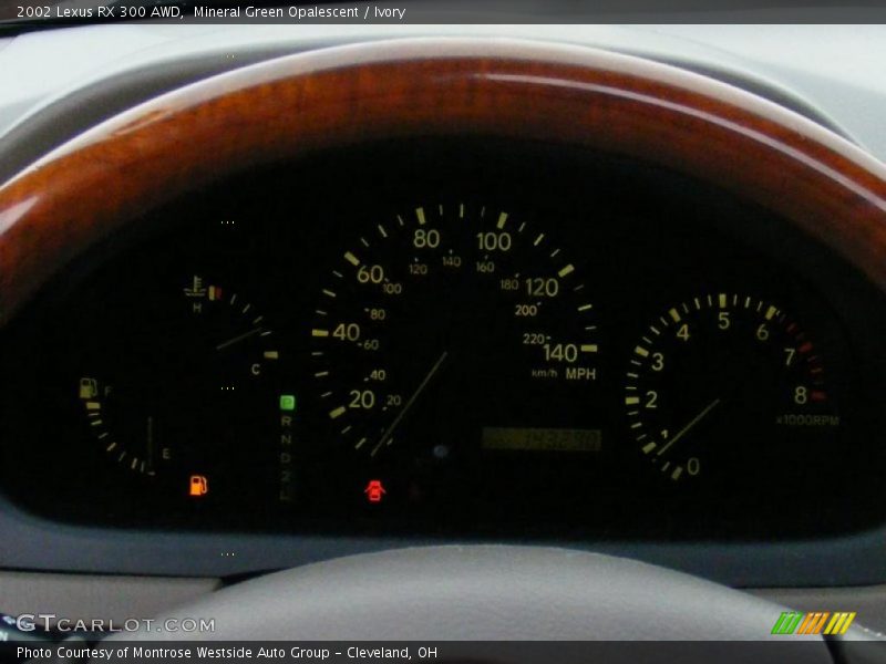 Mineral Green Opalescent / Ivory 2002 Lexus RX 300 AWD
