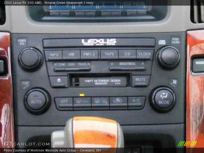 Mineral Green Opalescent / Ivory 2002 Lexus RX 300 AWD