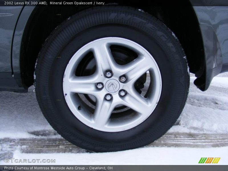 Mineral Green Opalescent / Ivory 2002 Lexus RX 300 AWD