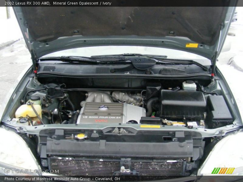 Mineral Green Opalescent / Ivory 2002 Lexus RX 300 AWD