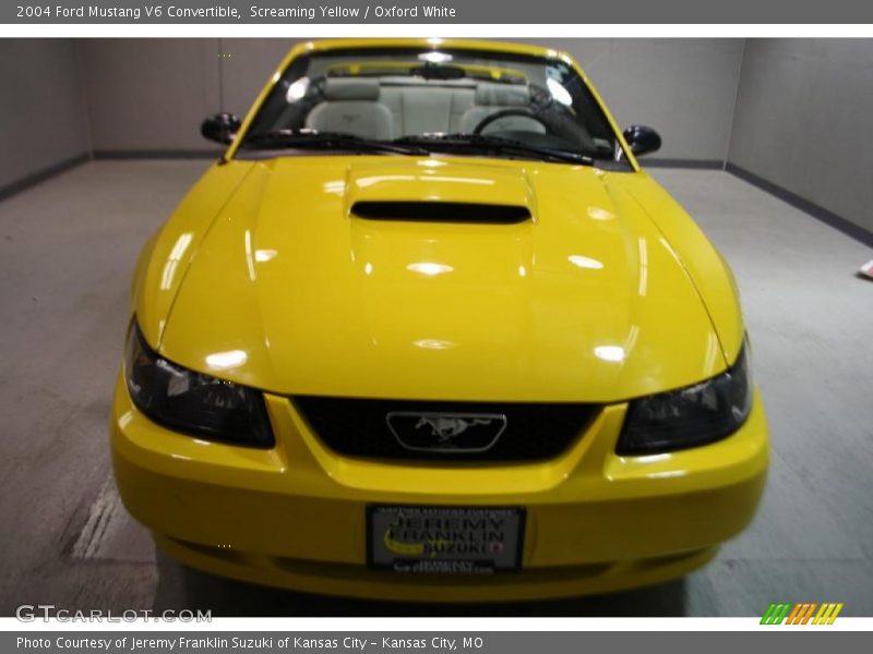 Screaming Yellow / Oxford White 2004 Ford Mustang V6 Convertible