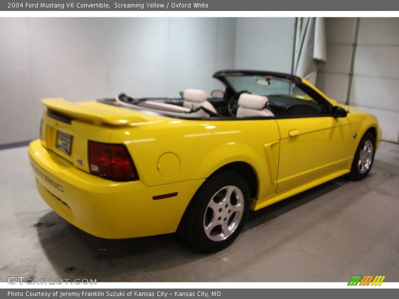 Screaming Yellow / Oxford White 2004 Ford Mustang V6 Convertible