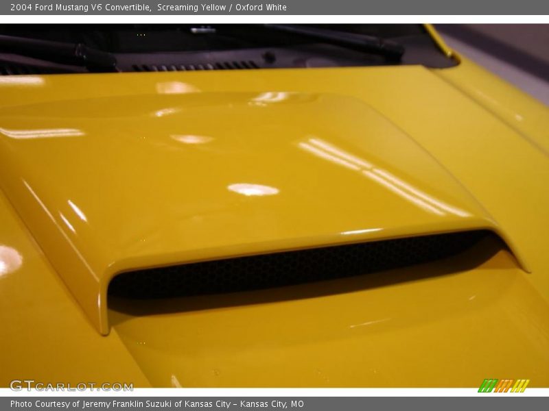 Screaming Yellow / Oxford White 2004 Ford Mustang V6 Convertible