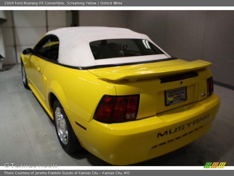 Screaming Yellow / Oxford White 2004 Ford Mustang V6 Convertible