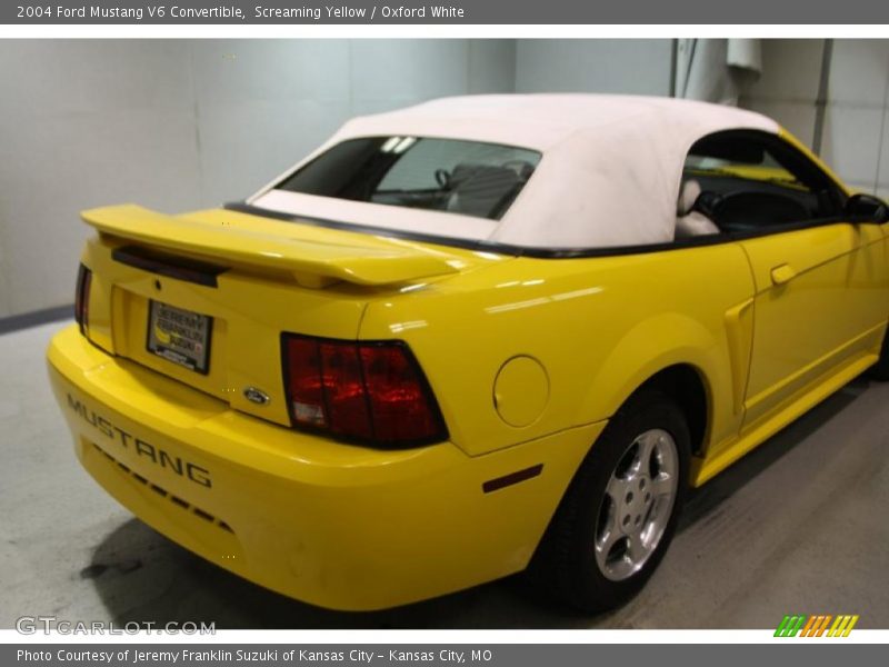 Screaming Yellow / Oxford White 2004 Ford Mustang V6 Convertible