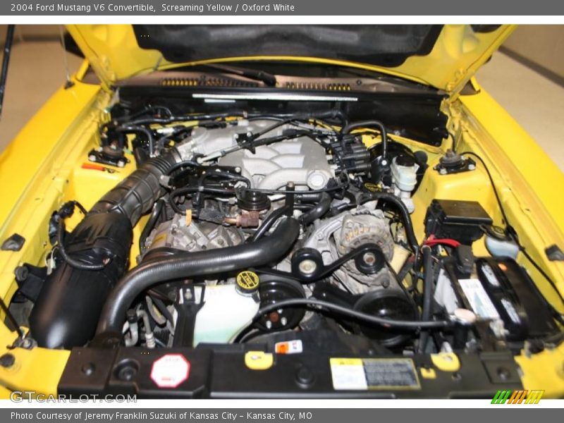 Screaming Yellow / Oxford White 2004 Ford Mustang V6 Convertible