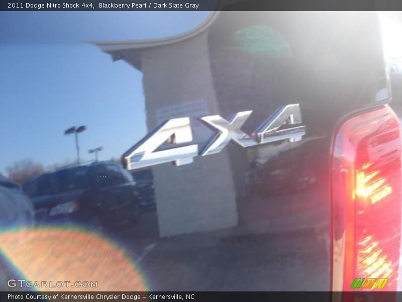  2011 Nitro Shock 4x4 Logo