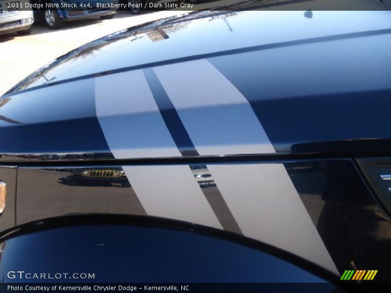  2011 Nitro Shock 4x4 Logo