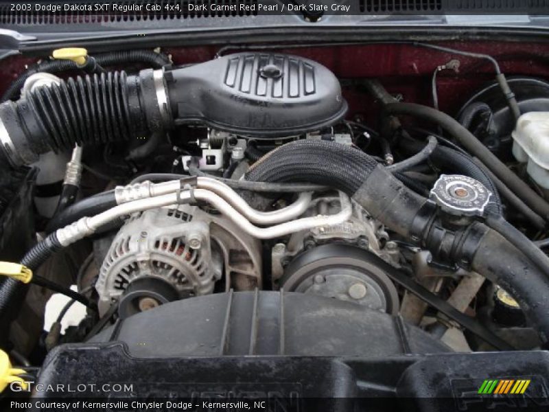 Dark Garnet Red Pearl / Dark Slate Gray 2003 Dodge Dakota SXT Regular Cab 4x4