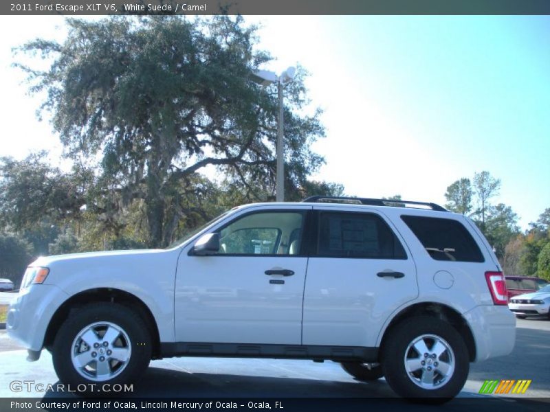 White Suede / Camel 2011 Ford Escape XLT V6