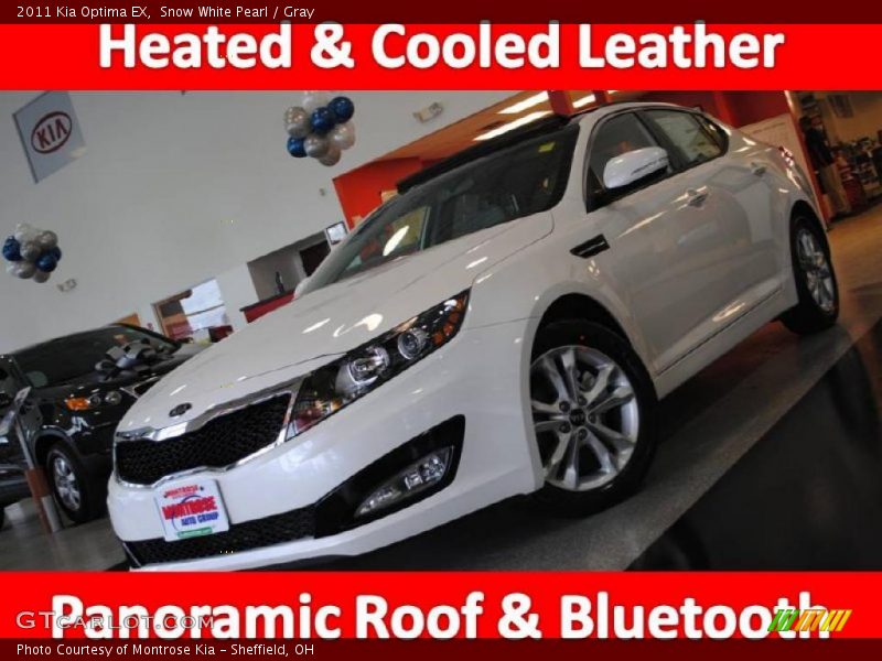 Snow White Pearl / Gray 2011 Kia Optima EX