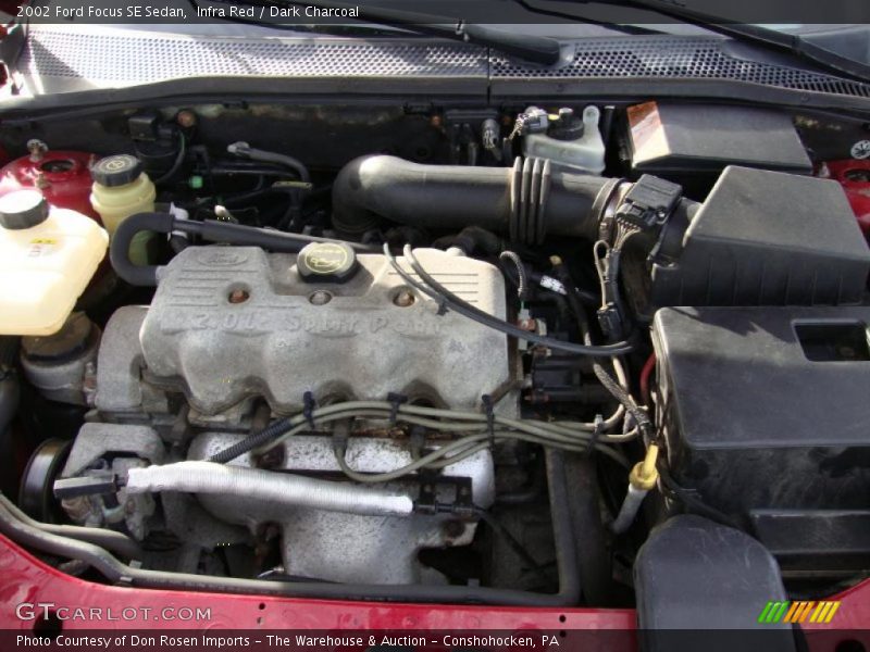 Infra Red / Dark Charcoal 2002 Ford Focus SE Sedan
