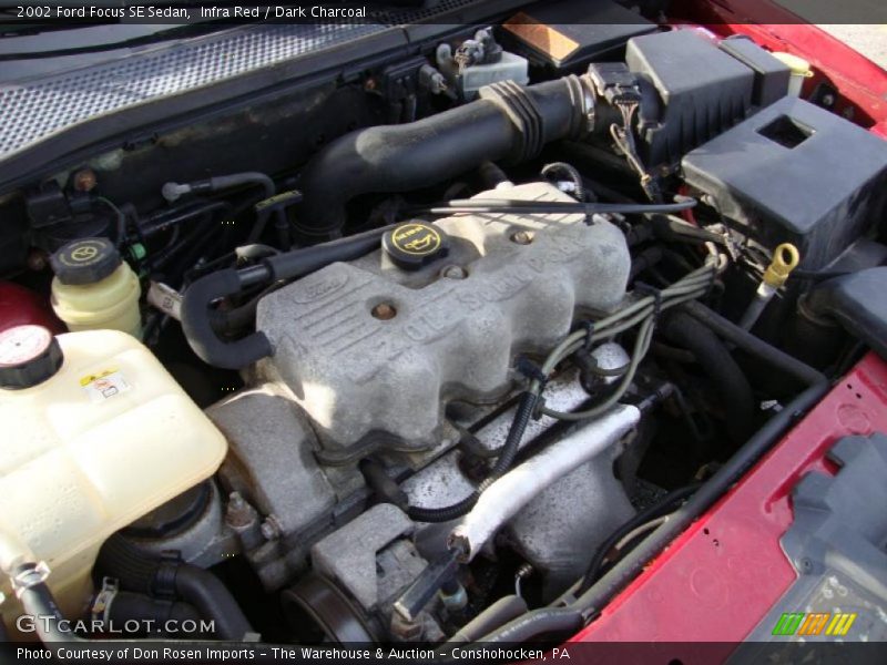 Infra Red / Dark Charcoal 2002 Ford Focus SE Sedan