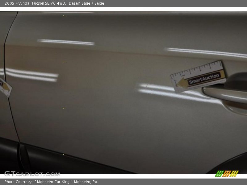 Desert Sage / Beige 2009 Hyundai Tucson SE V6 4WD